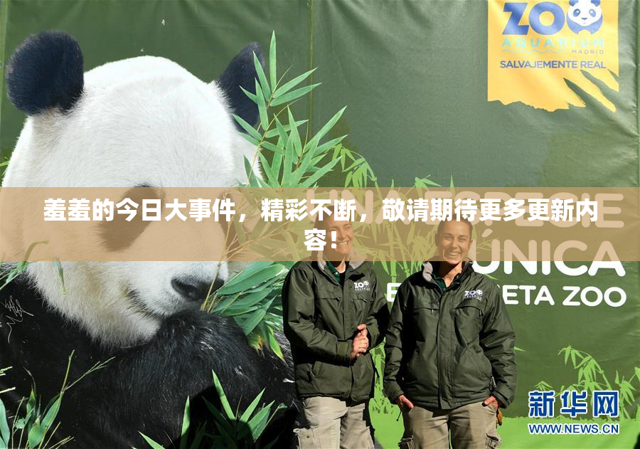 羞羞的今日大事件，精彩不断，敬请期待更多更新内容！