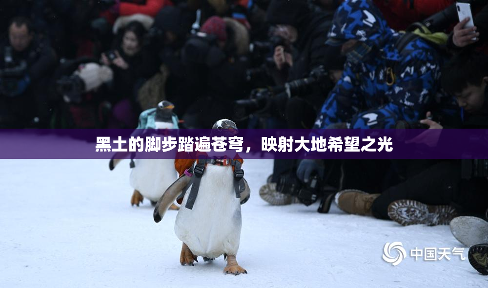 黑土的脚步踏遍苍穹，映射大地希望之光