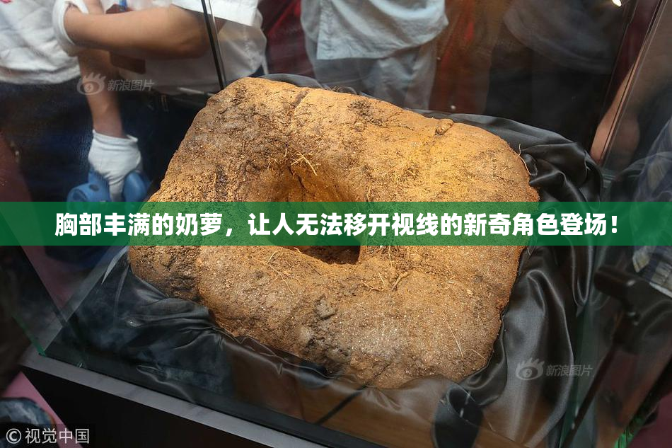 胸部丰满的奶萝，让人无法移开视线的新奇角色登场！