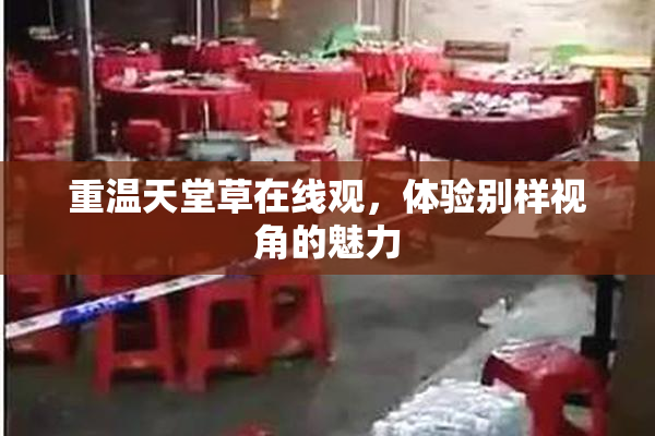 重温天堂草在线观，体验别样视角的魅力