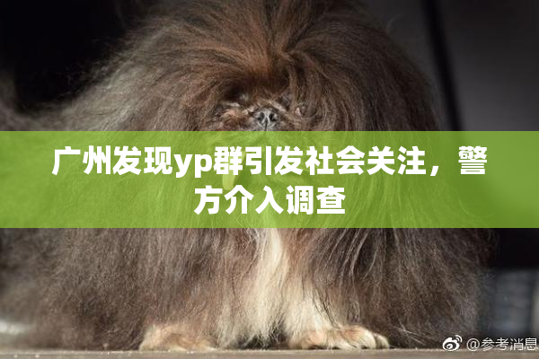 广州发现yp群引发社会关注，警方介入调查
