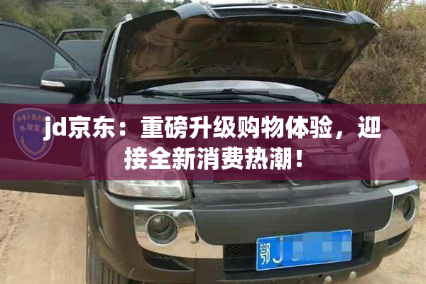 jd京东：重磅升级购物体验，迎接全新消费热潮！