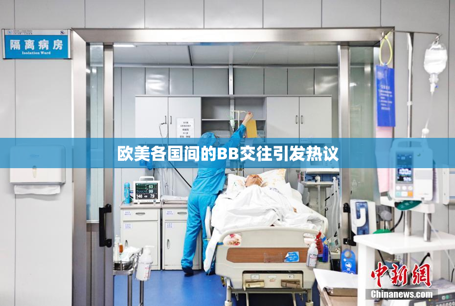 欧美各国间的BB交往引发热议