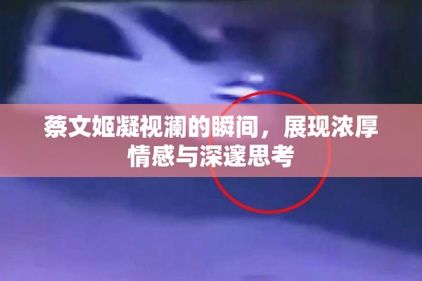 蔡文姬凝视澜的瞬间，展现浓厚情感与深邃思考