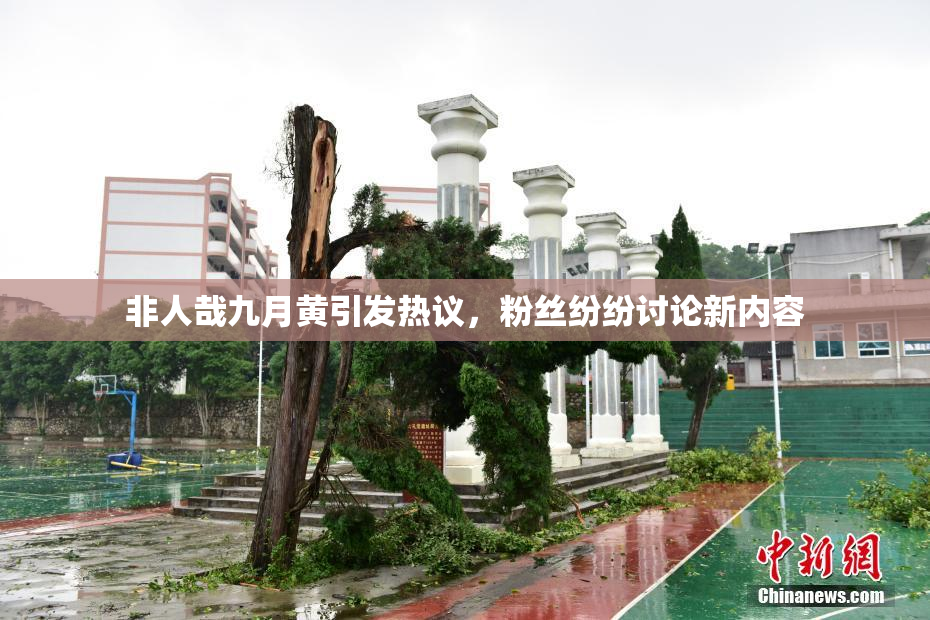 非人哉九月黄引发热议，粉丝纷纷讨论新内容