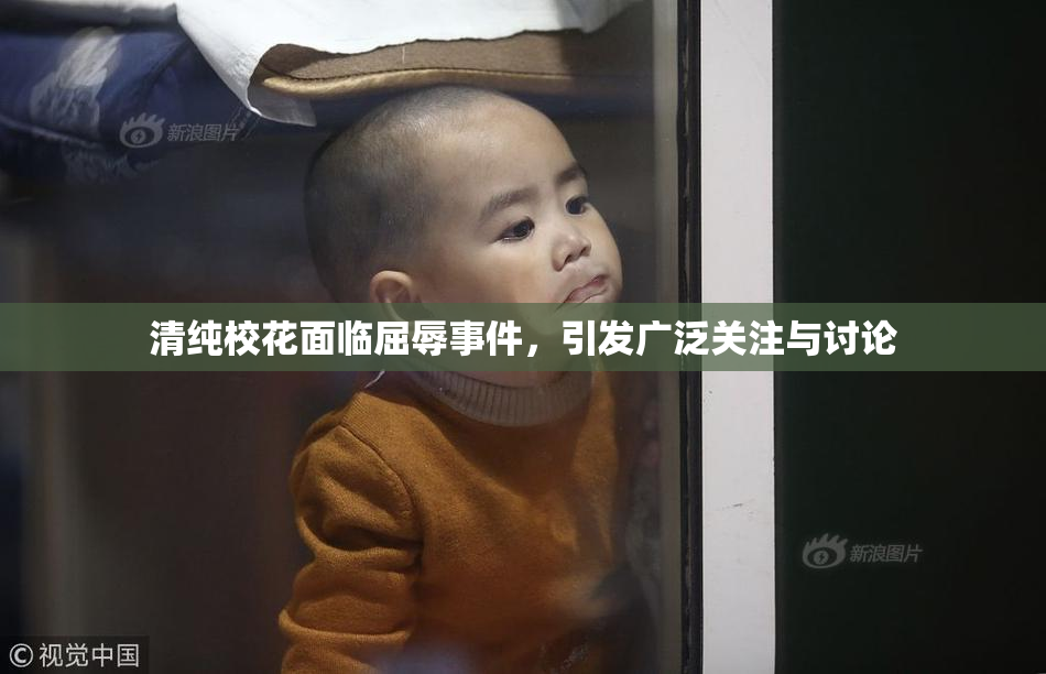 清纯校花面临屈辱事件，引发广泛关注与讨论