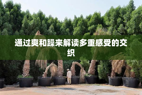 通过爽和躁来解读多重感受的交织