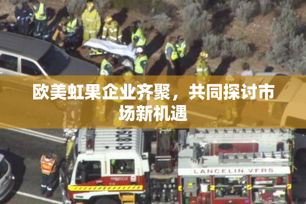 欧美虹果企业齐聚，共同探讨市场新机遇