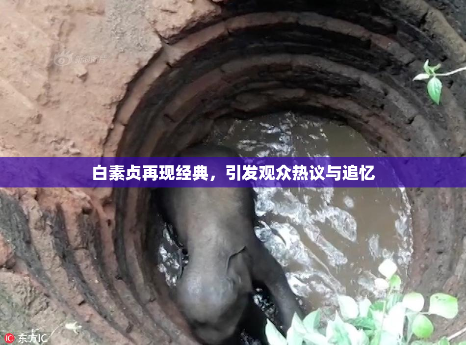 白素贞再现经典，引发观众热议与追忆