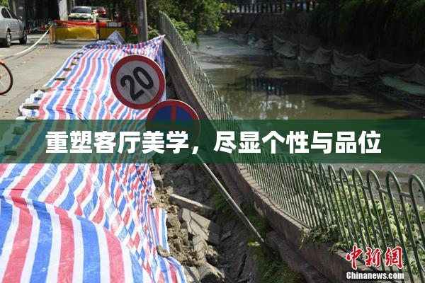 重塑客厅美学，尽显个性与品位