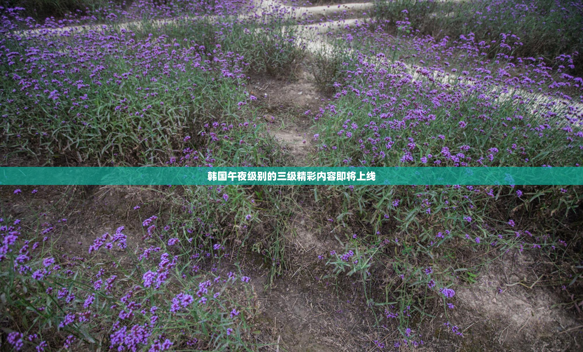 韩国午夜级别的三级精彩内容即将上线