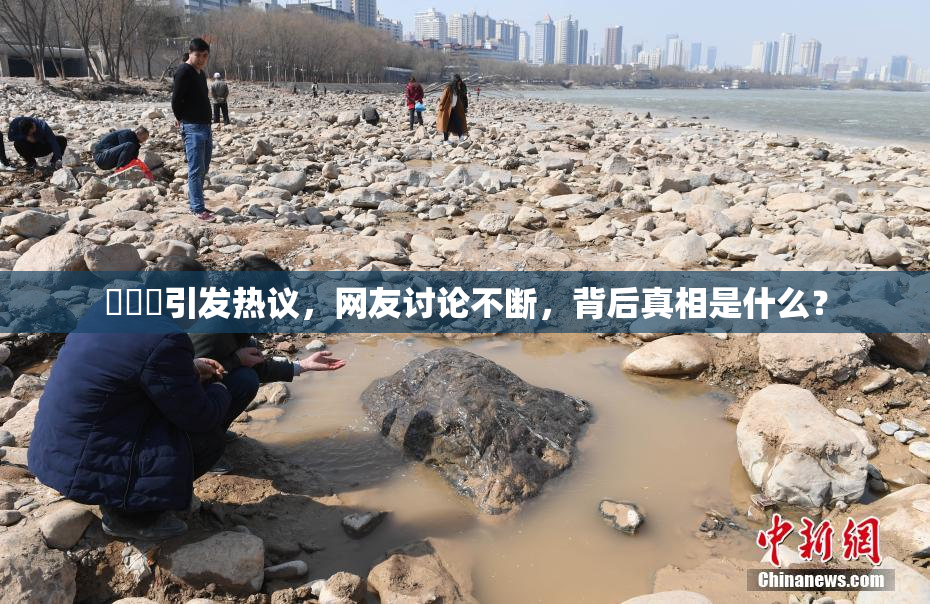 逹葢薾引发热议，网友讨论不断，背后真相是什么？
