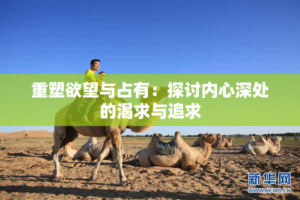 重塑欲望与占有：探讨内心深处的渴求与追求