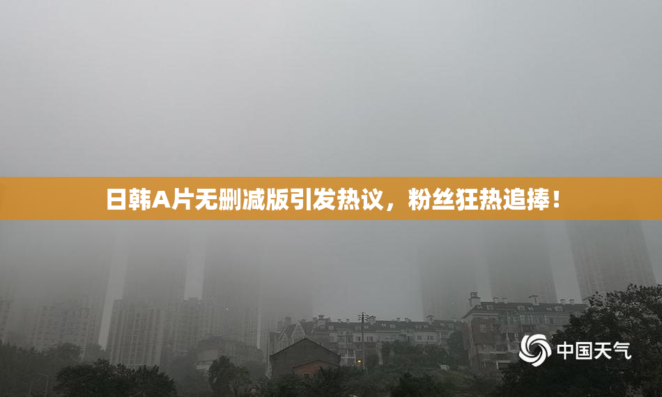 日韩A片无删减版引发热议，粉丝狂热追捧！