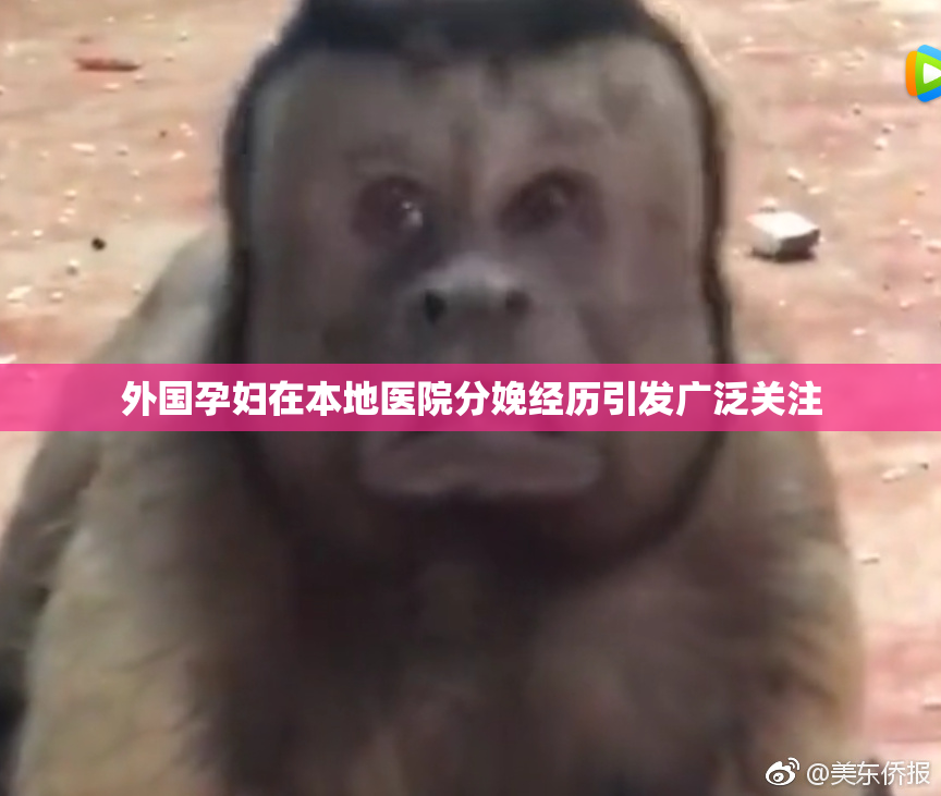 外国孕妇在本地医院分娩经历引发广泛关注