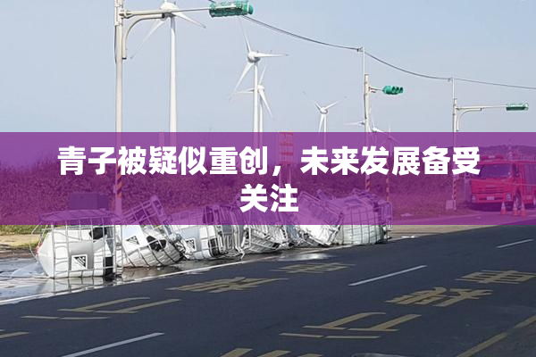 青子被疑似重创，未来发展备受关注