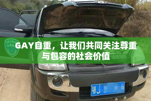 GAY自重，让我们共同关注尊重与包容的社会价值