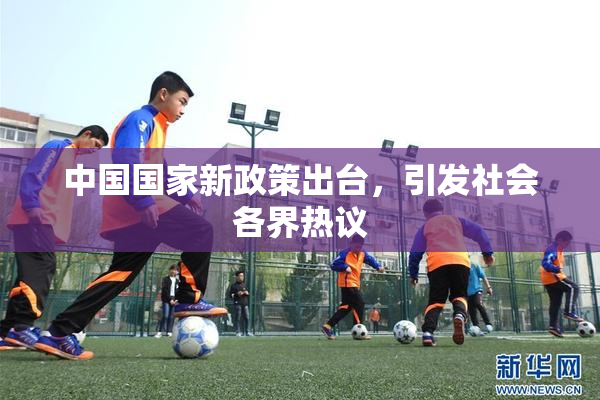 中国国家新政策出台，引发社会各界热议