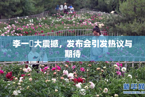 李一挏大震撼，发布会引发热议与期待