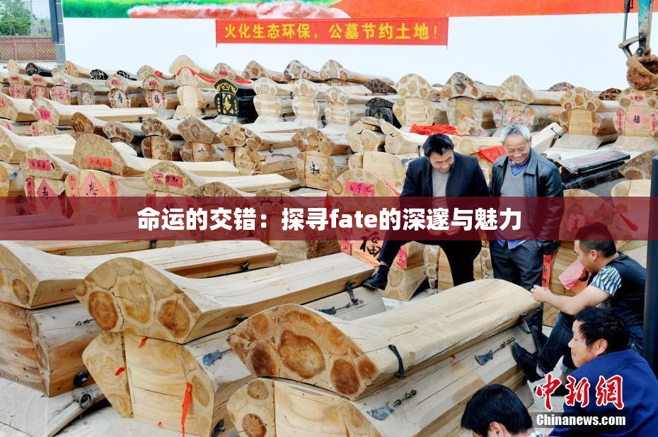 命运的交错：探寻fate的深邃与魅力