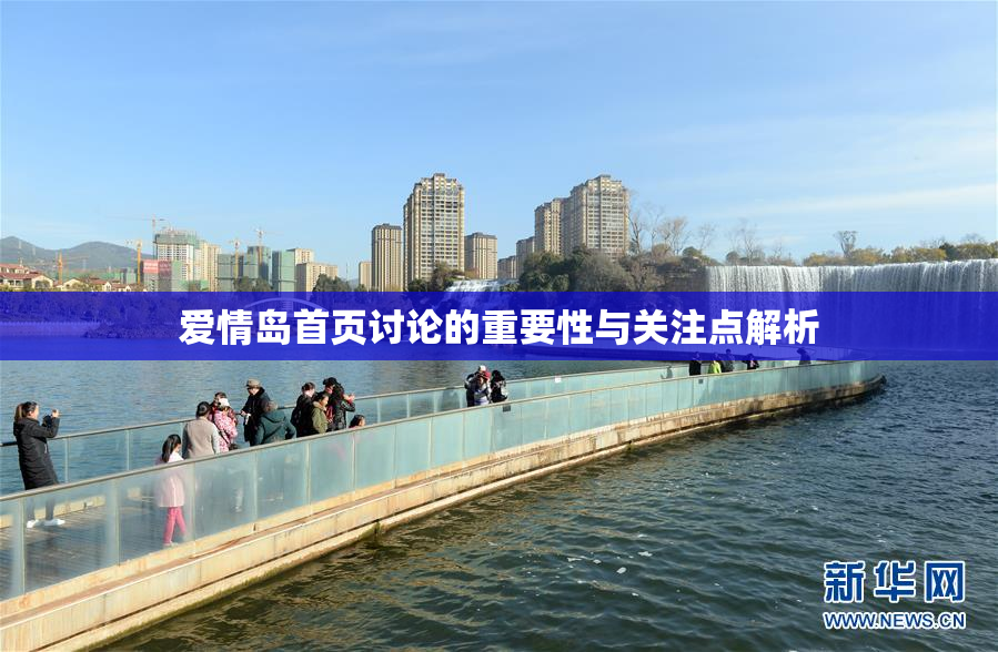爱情岛首页讨论的重要性与关注点解析