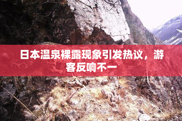 日本温泉裸露现象引发热议，游客反响不一