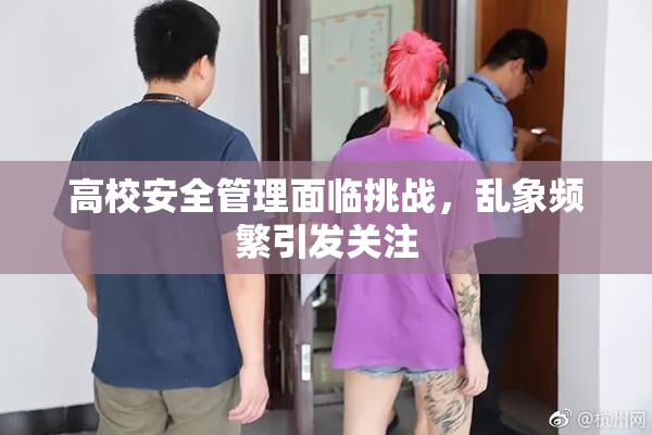 高校安全管理面临挑战，乱象频繁引发关注