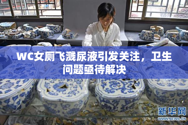 WC女厕飞溅尿液引发关注，卫生问题亟待解决