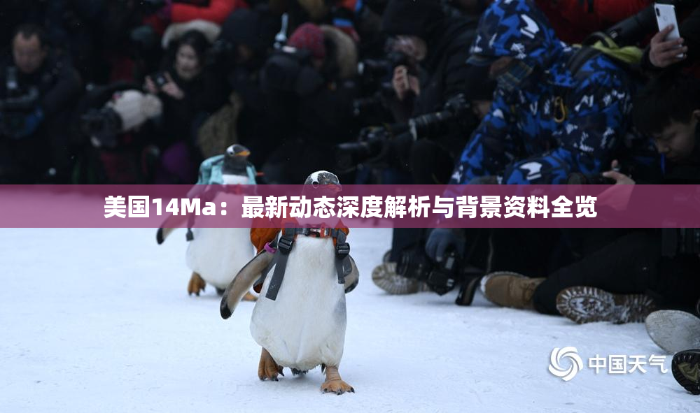 美国14Ma：最新动态深度解析与背景资料全览