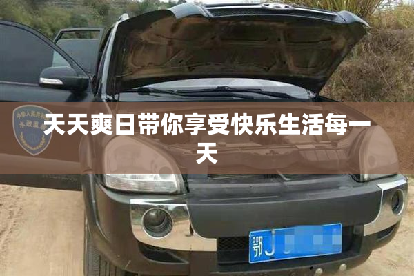 天天爽日带你享受快乐生活每一天