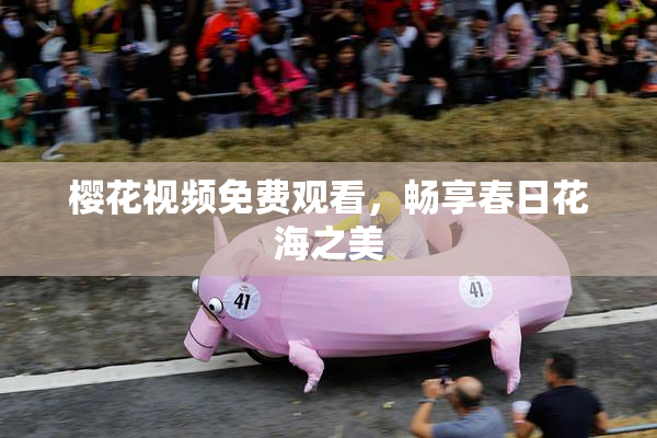 樱花视频免费观看，畅享春日花海之美