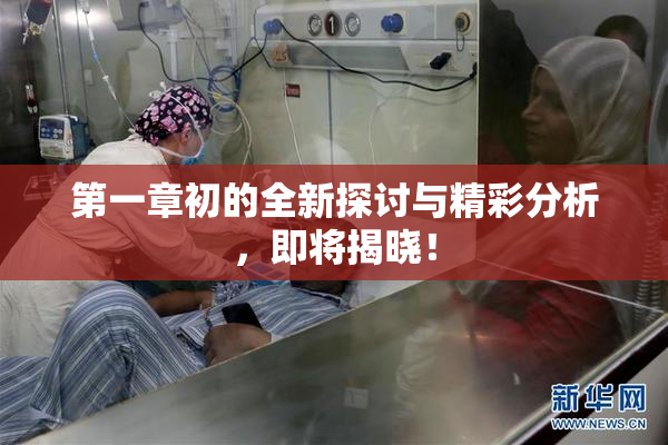第一章初的全新探讨与精彩分析，即将揭晓！