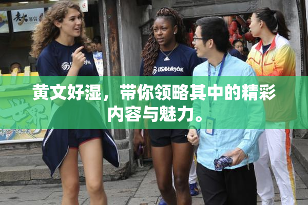 黄文好湿，带你领略其中的精彩内容与魅力。