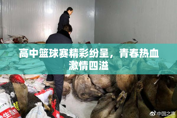 高中篮球赛精彩纷呈，青春热血激情四溢