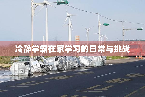 冷静学霸在家学习的日常与挑战