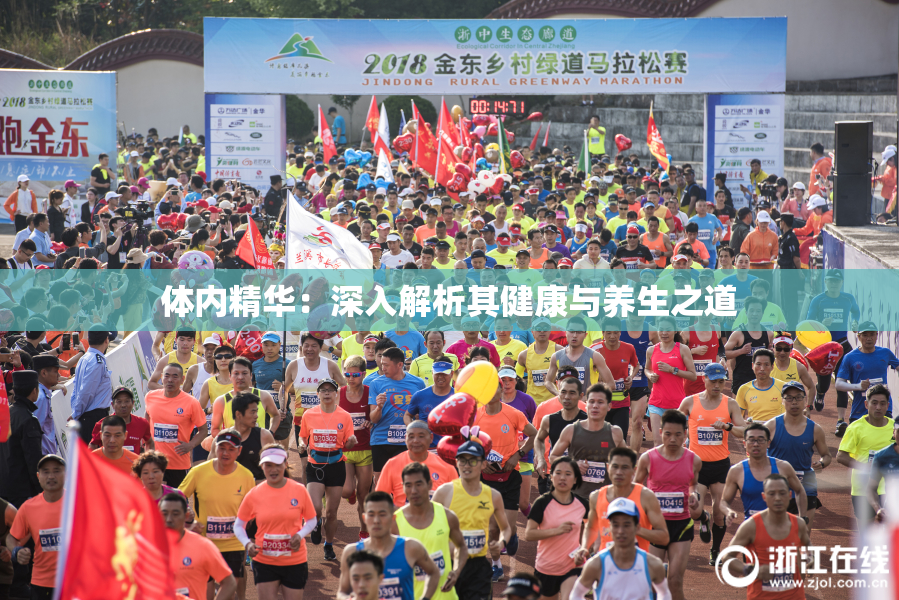 体内精华：深入解析其健康与养生之道