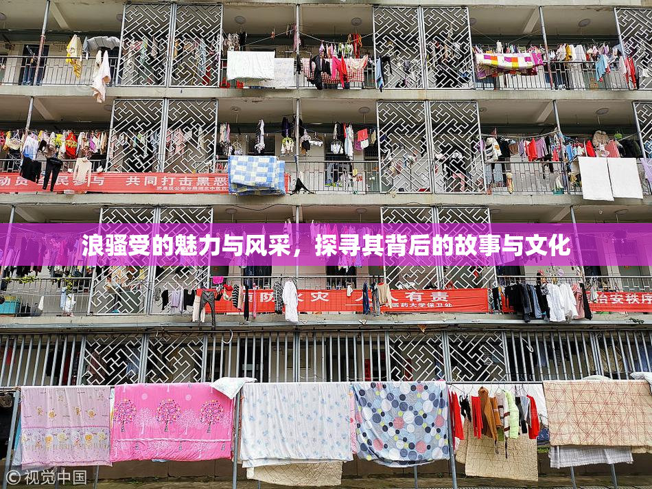 浪骚受的魅力与风采，探寻其背后的故事与文化