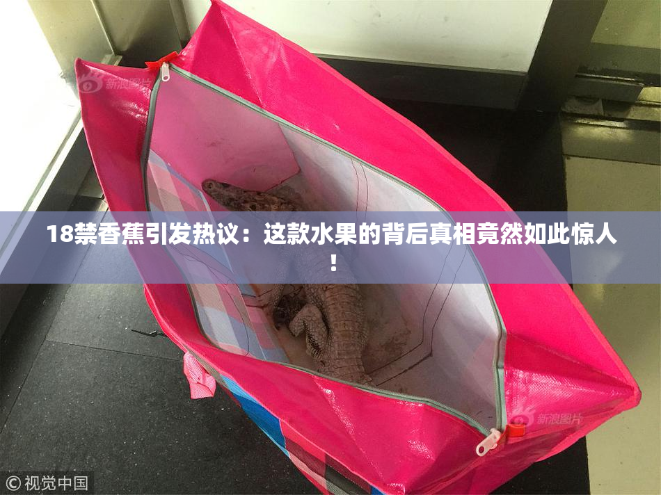 18禁香蕉引发热议：这款水果的背后真相竟然如此惊人！