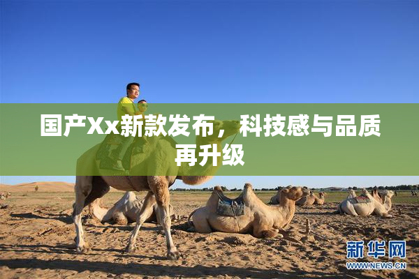 国产Xx新款发布，科技感与品质再升级