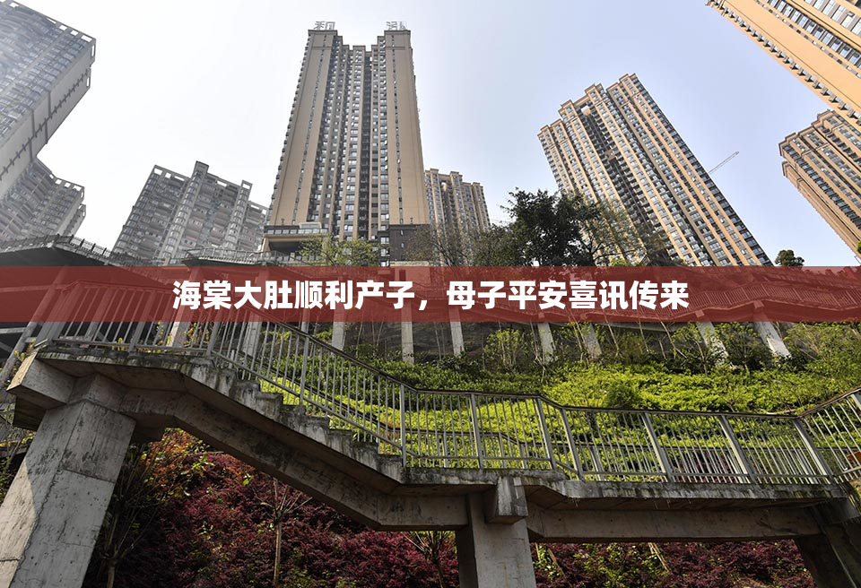 海棠大肚顺利产子，母子平安喜讯传来