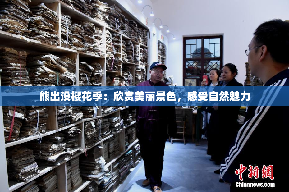 熊出没樱花季：欣赏美丽景色，感受自然魅力