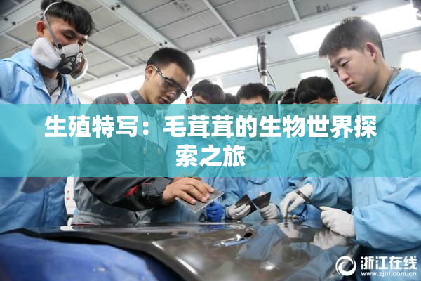 生殖特写：毛茸茸的生物世界探索之旅