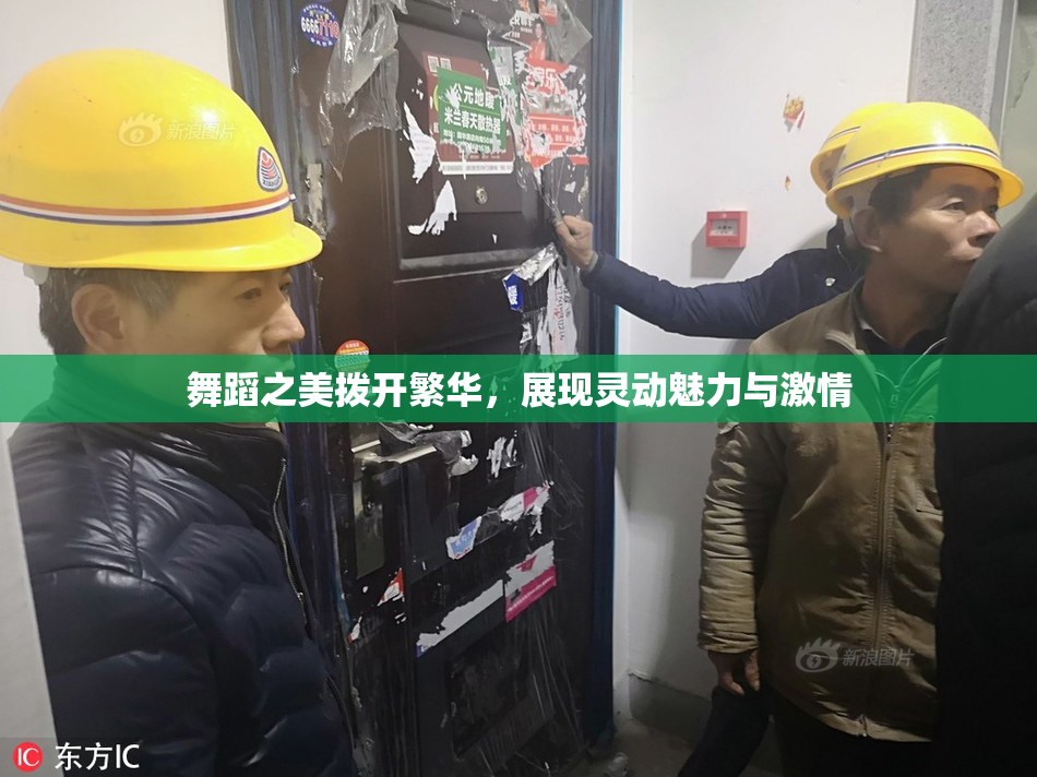 舞蹈之美拨开繁华，展现灵动魅力与激情