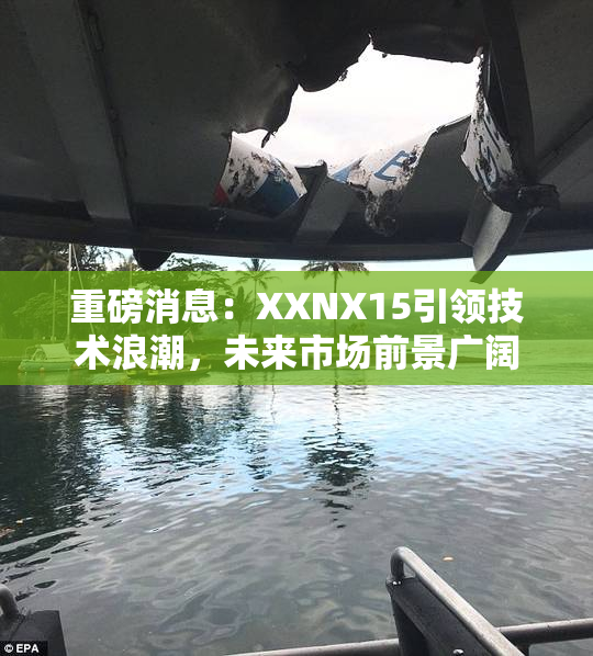 重磅消息：XXNX15引领技术浪潮，未来市场前景广阔