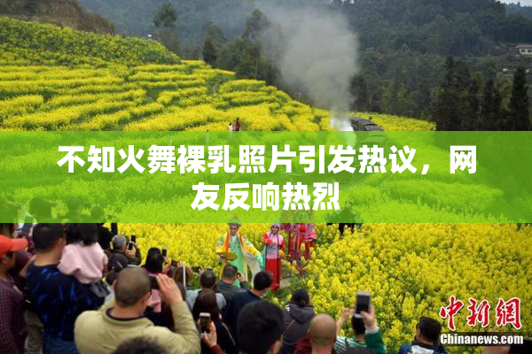 不知火舞裸乳照片引发热议，网友反响热烈