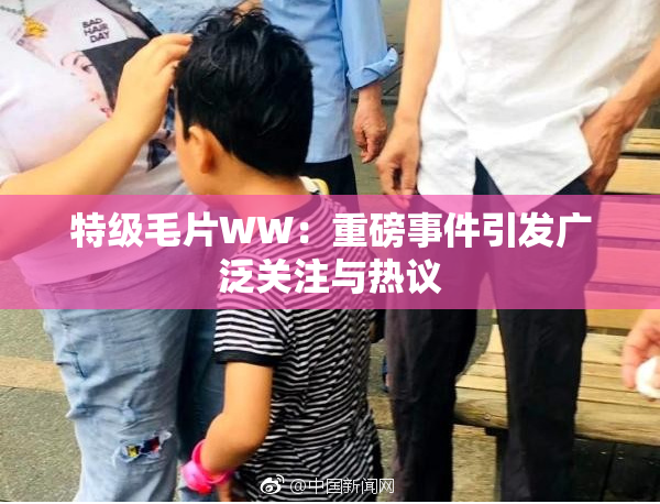 特级毛片WW：重磅事件引发广泛关注与热议