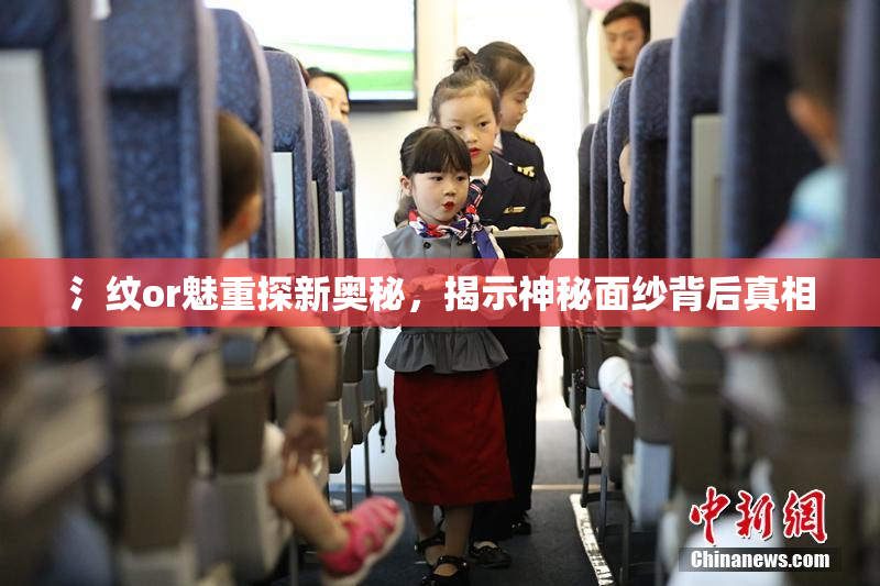 氵纹or魅重探新奥秘，揭示神秘面纱背后真相