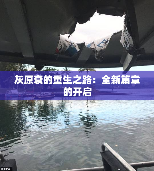 灰原衰的重生之路：全新篇章的开启