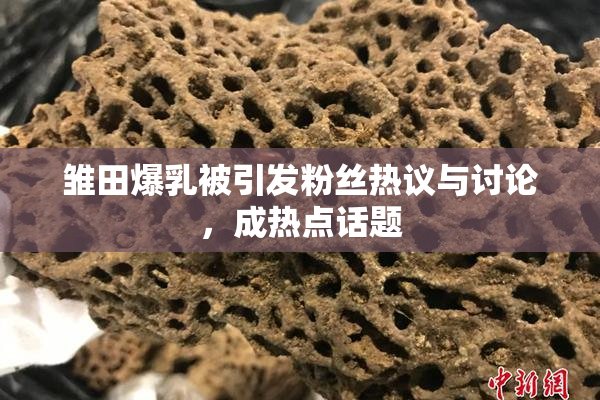 雏田爆乳被引发粉丝热议与讨论，成热点话题