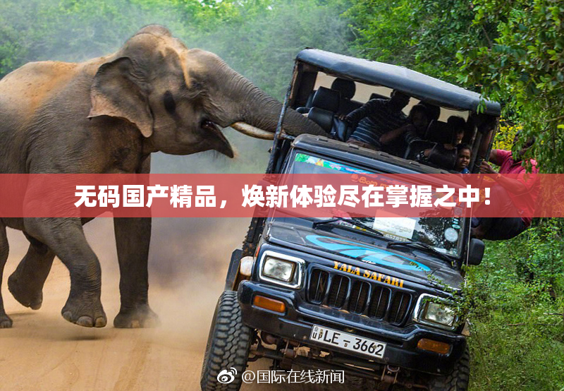 无码国产精品，焕新体验尽在掌握之中！